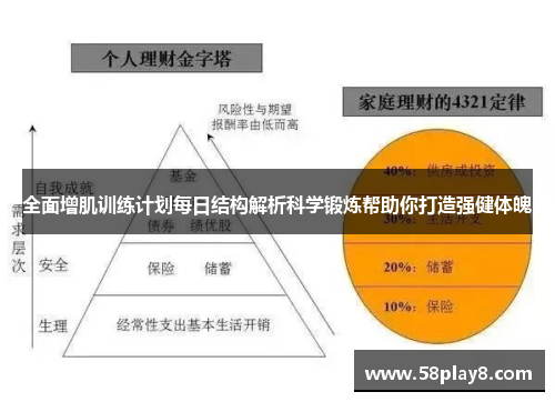 全面增肌训练计划每日结构解析科学锻炼帮助你打造强健体魄