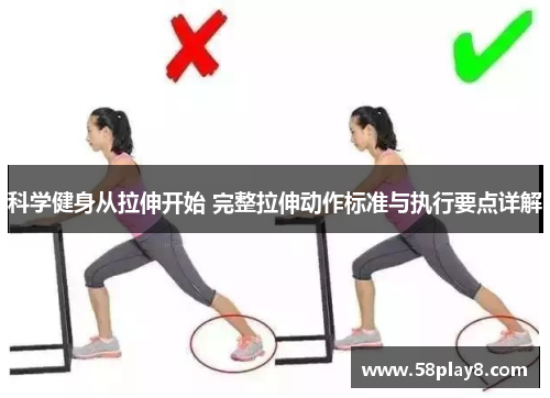 科学健身从拉伸开始 完整拉伸动作标准与执行要点详解